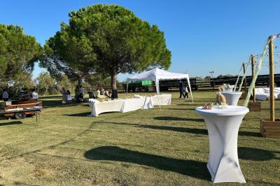 Deux chevaux blancs derrière une clôture en bois, entourés d'herbes hautes sous un ciel bleu.