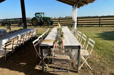 Deux chevaux blancs derrière une clôture en bois, entourés d'herbes hautes sous un ciel bleu.