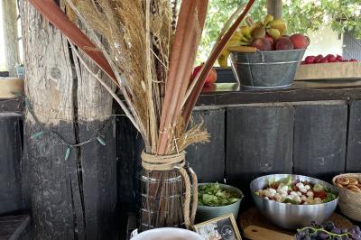 Deux chevaux blancs derrière une clôture en bois, entourés d'herbes hautes sous un ciel bleu.