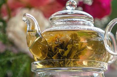 Traiteur Bois-le-Roi (Seine-et-Marne) - Chez Graze #67