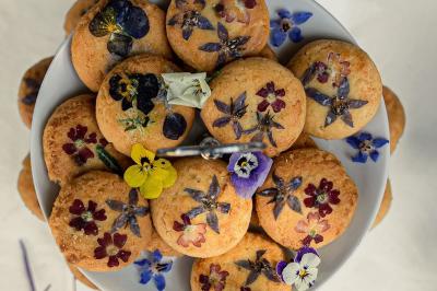 Traiteur Bois-le-Roi (Seine-et-Marne) - Chez Graze #66