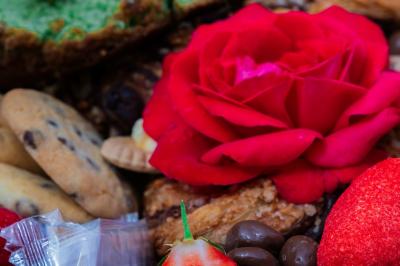 Traiteur Bois-le-Roi (Seine-et-Marne) - Chez Graze #66