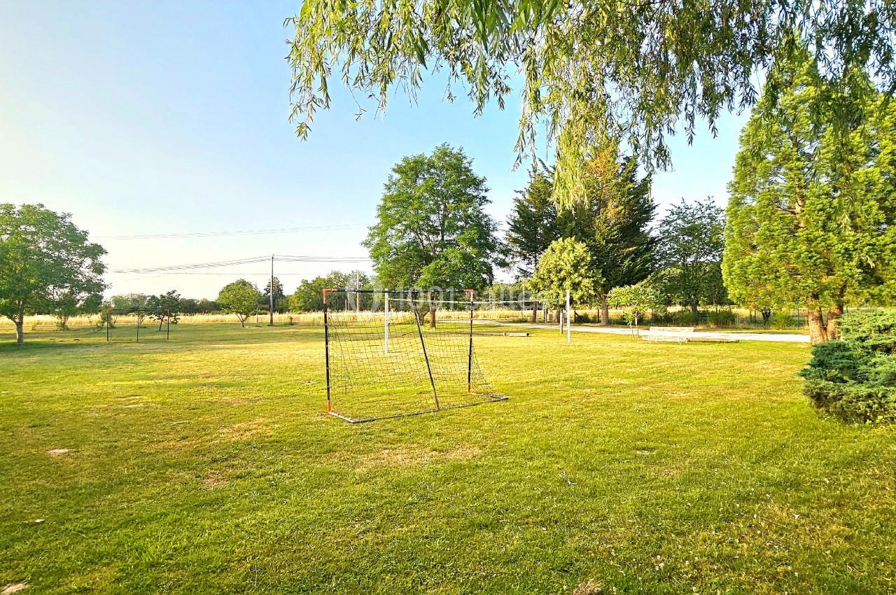 Grand jardin verdoyant avec arbres, pelouse et une structure métallique au centre sous un ciel dégagé.