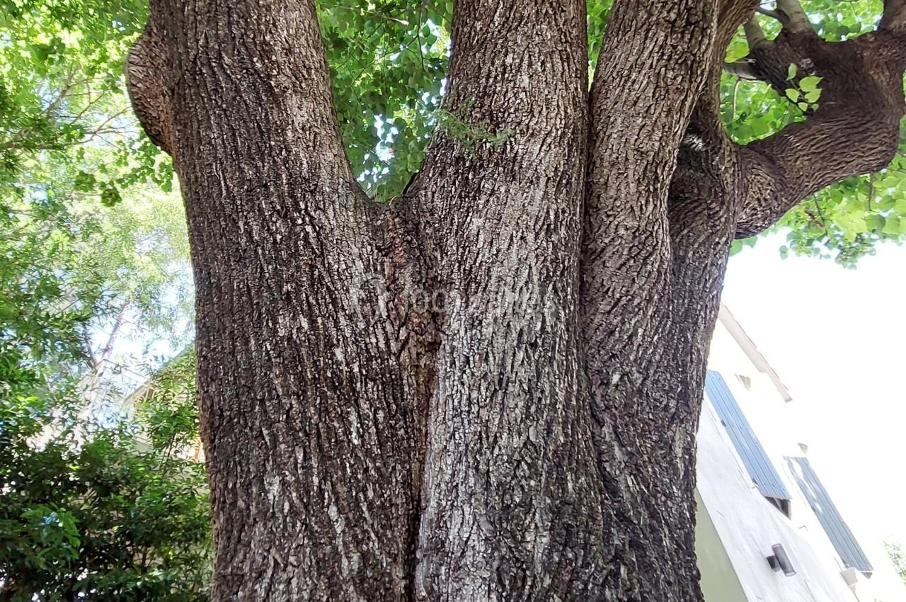 Location salle Clermont-l'Hérault (Hérault) - Mas Aubrilha #34