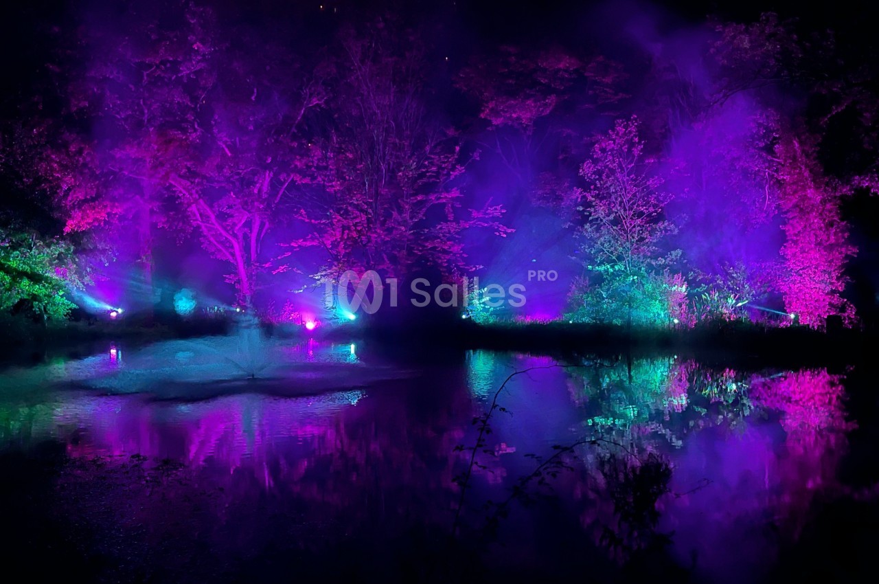 Éclairage coloré violet et bleu illuminant des arbres et leur reflet sur l'eau dans un environnement nocturne.
