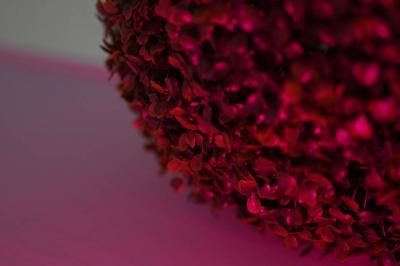 Location salle Ris-Orangis (Essonne) - Royale Tower #25