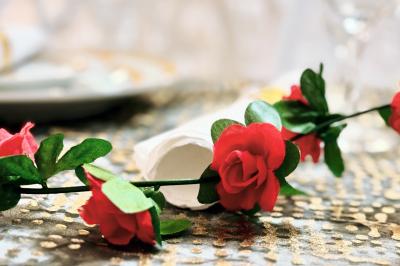 Location salle Ris-Orangis (Essonne) - Royale Tower #25