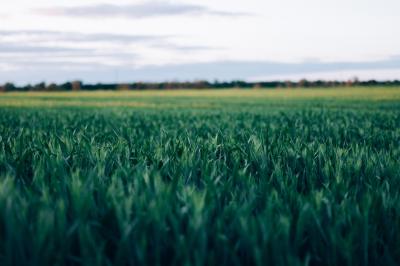 Paysage au coucher du soleil avec des champs, une clôture en bois et des montagnes à l'horizon sous un ciel partiellement…