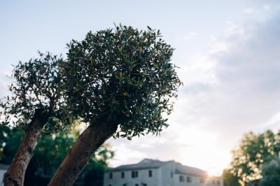 Paysage au coucher du soleil avec des champs, une clôture en bois et des montagnes à l'horizon sous un ciel partiellement…