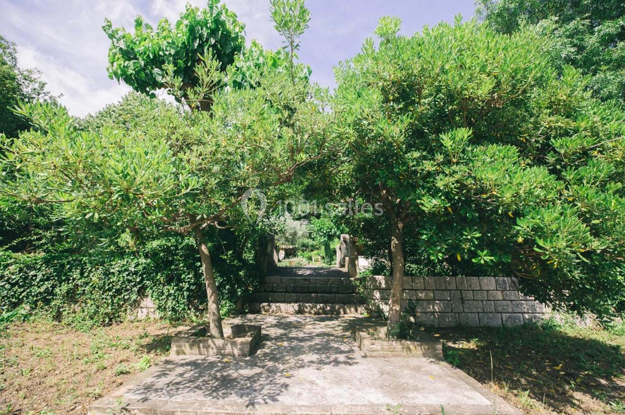 Allée bordée de deux arbres taillés, menant à un escalier en pierre entouré de végétation dense.
