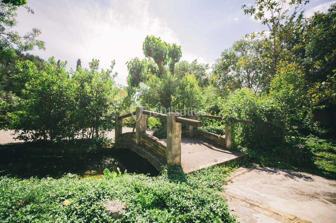 Petit pont en pierre entouré de végétation luxuriante sous un ciel clair et ensoleillé.