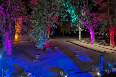 Un homme en costume parle devant une arche décorée de fleurs séchées, dans un cadre naturel avec des montagnes et des arbres.