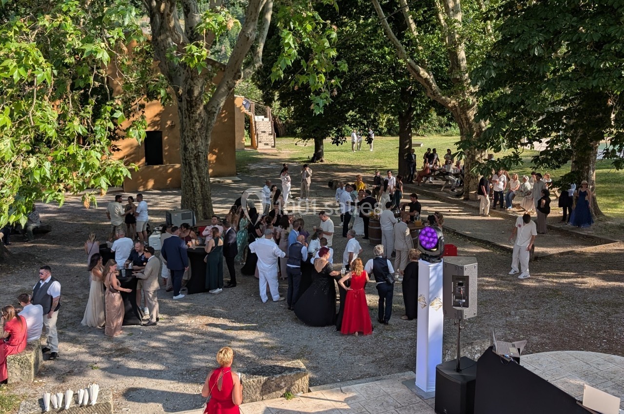 Groupe de personnes rassemblées en extérieur sous des arbres lors d'un événement festif par temps ensoleillé.