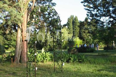 Gâteau de mariage à trois étages décoré de fleurs blanches, feuillages et roses crème au sommet.