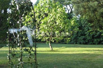 Gâteau de mariage à trois étages décoré de fleurs blanches, feuillages et roses crème au sommet.