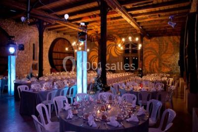 Location salle Salles-d'Aude (Aude) - Château Pech-Celeyran #26