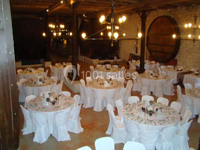 Location salle Salles-d'Aude (Aude) - Château Pech-Celeyran #8