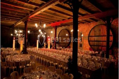 Location salle Salles-d'Aude (Aude) - Château Pech-Celeyran #26