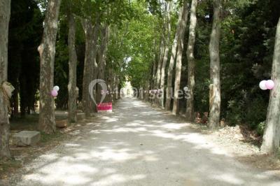 Location salle Salles-d'Aude (Aude) - Château Pech-Celeyran #26