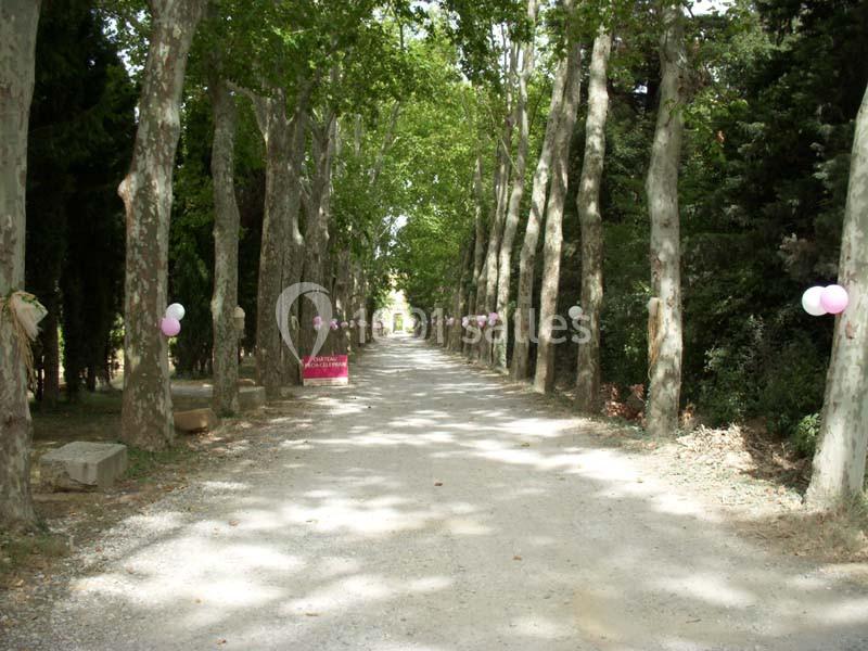 Location salle Salles-d'Aude (Aude) - Château Pech-Celeyran #15