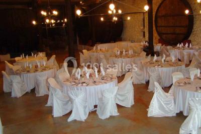 Location salle Salles-d'Aude (Aude) - Château Pech-Celeyran #26