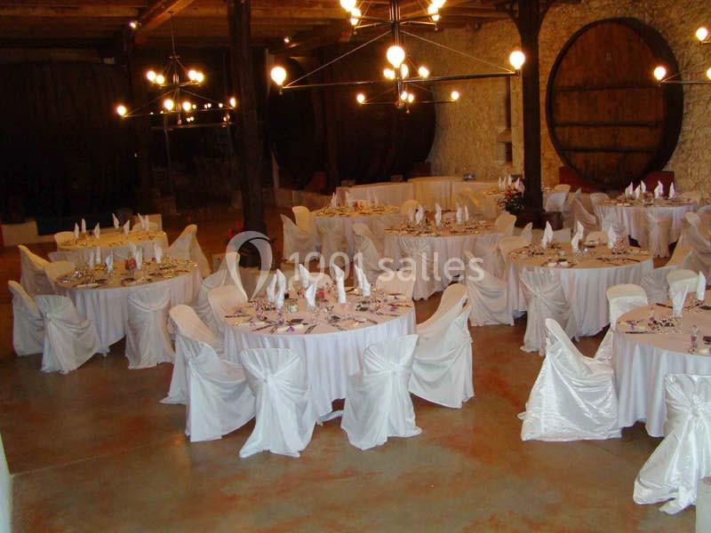 Location salle Salles-d'Aude (Aude) - Château Pech-Celeyran #21