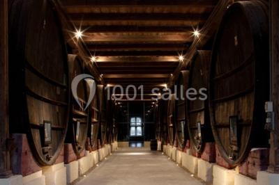 Location salle Salles-d'Aude (Aude) - Château Pech-Celeyran #26