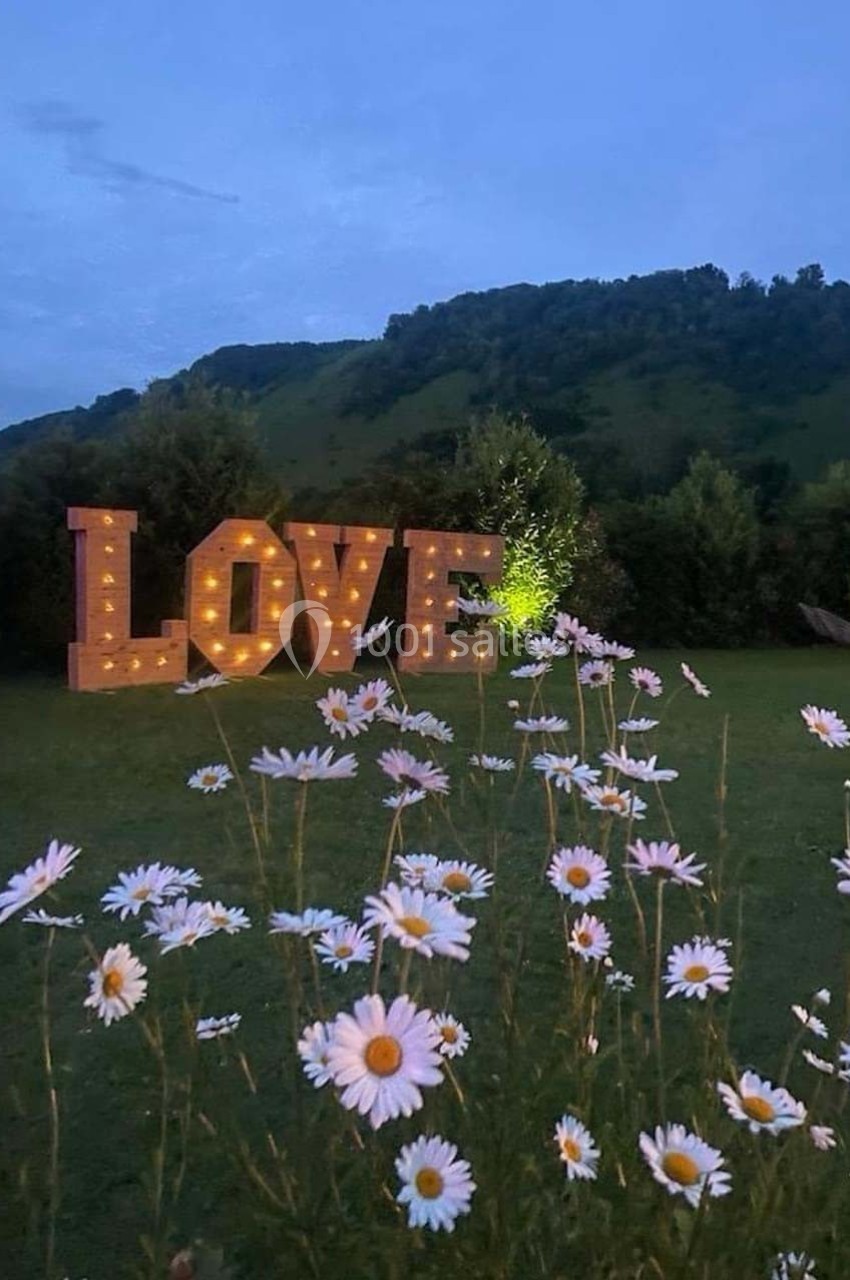 Lettres lumineuses formant le mot ’LOVE’ dans un jardin au crépuscule, entourées de marguerites et de collines verdoyantes.