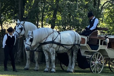 Table élégamment dressée avec vaisselle raffinée, centre de table floral et décoration lumineuse en arrière-plan.