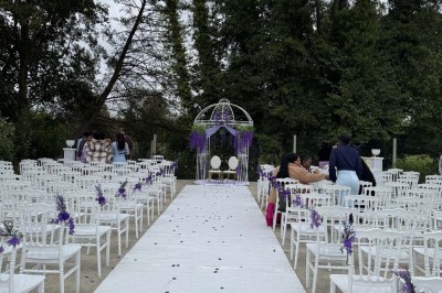 Table élégamment dressée avec vaisselle raffinée, centre de table floral et décoration lumineuse en arrière-plan.