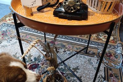 Deux femmes regardent un écran d'une borne photo rétro dans un espace décoré pour la Saint-Patrick.