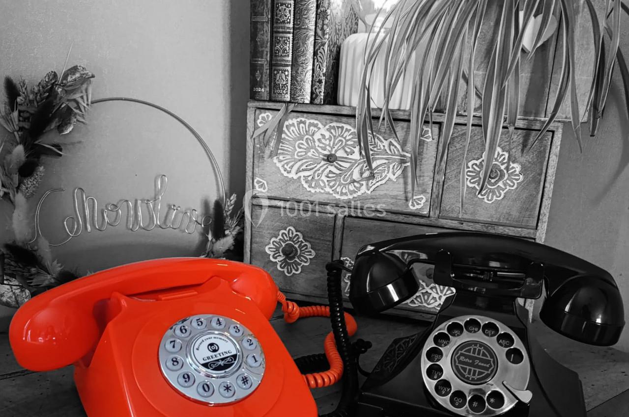 Deux téléphones rétro, l'un rouge et l'autre noir, posés sur un meuble décoré avec des livres et une plante.