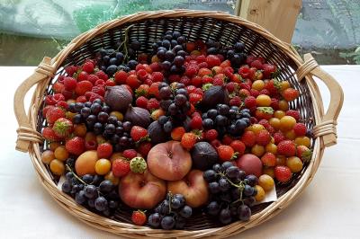 Des personnes préparent et disposent des desserts sur des assiettes alignées dans une cuisine professionnelle.