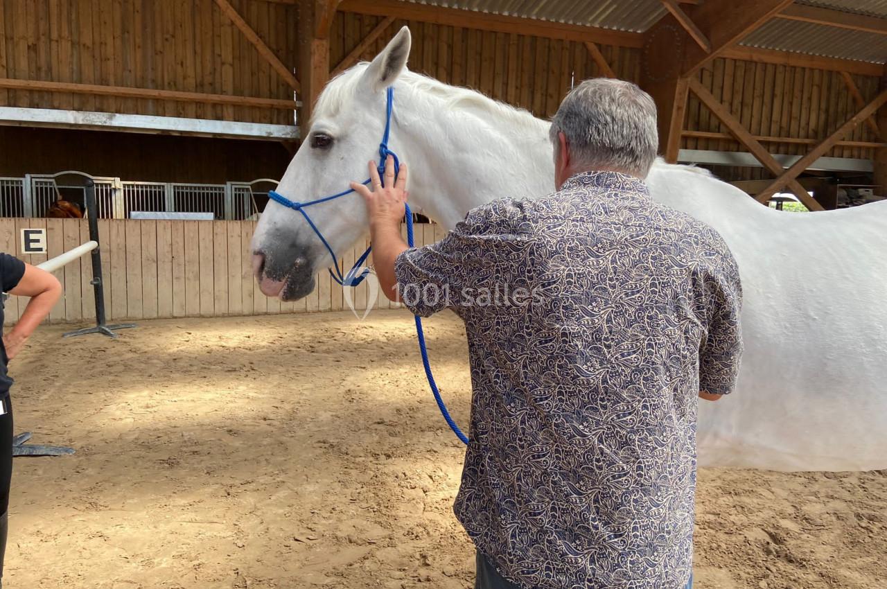 Un homme caresse un cheval blanc attaché par un licol bleu dans un manège en bois.