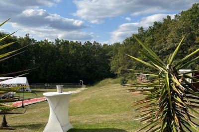 Vue d'un espace extérieur avec pelouse, structures gonflables colorées et arbres en arrière-plan, sous un ciel bleu.
