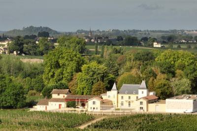 Vue d'un arbre à travers une fenêtre cintrée, encadrée par un intérieur lumineux avec un luminaire suspendu.