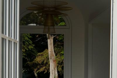 Vue d'un arbre à travers une fenêtre cintrée, encadrée par un intérieur lumineux avec un luminaire suspendu.