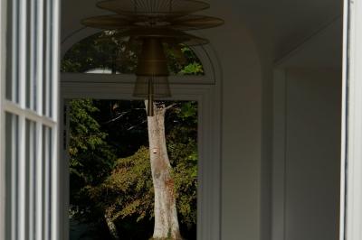 Vue d'un arbre à travers une porte vitrée, encadrée par un intérieur lumineux avec un luminaire suspendu.