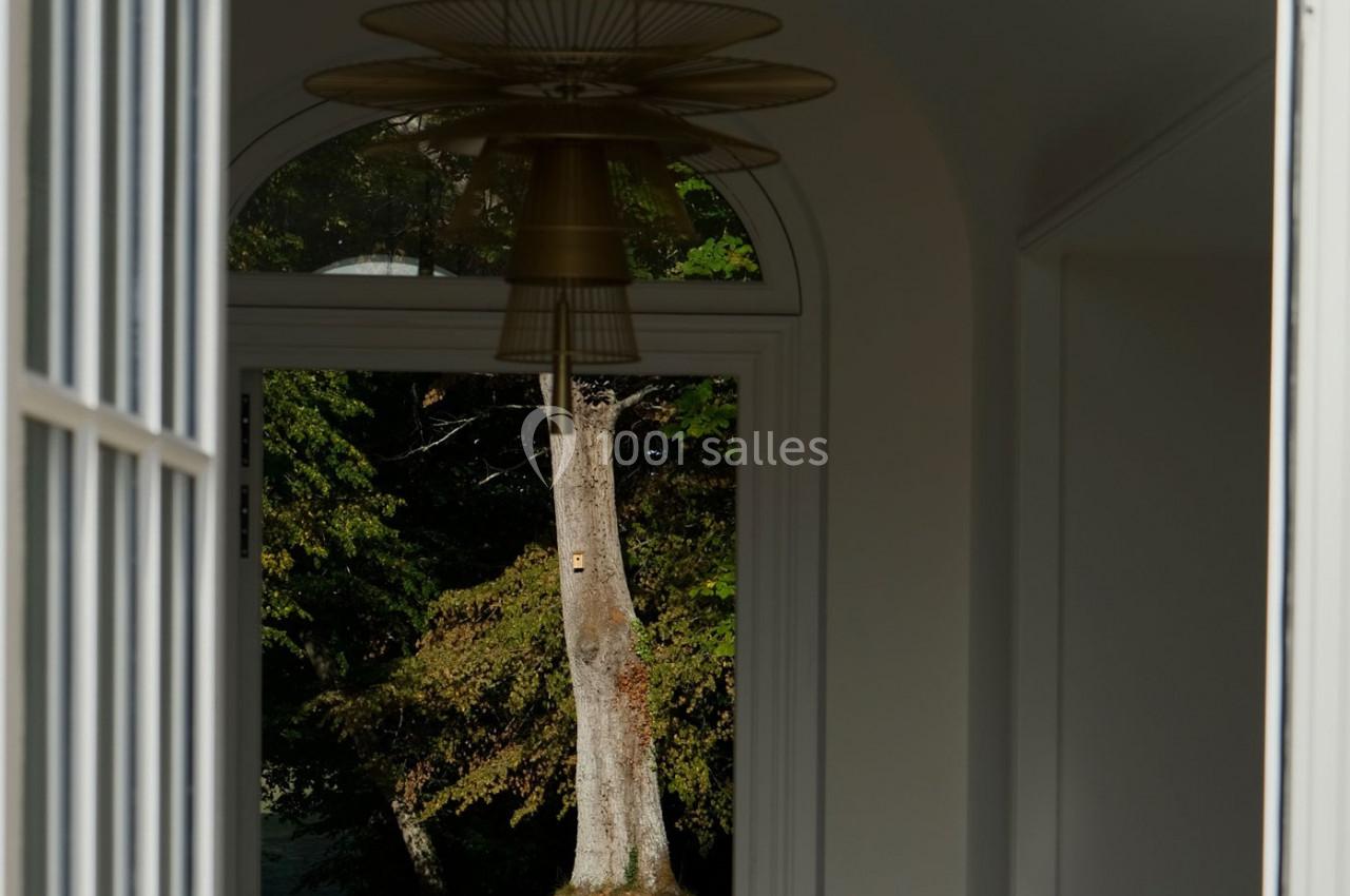 Vue d'un arbre à travers une porte vitrée, encadrée par un intérieur lumineux avec un luminaire suspendu.