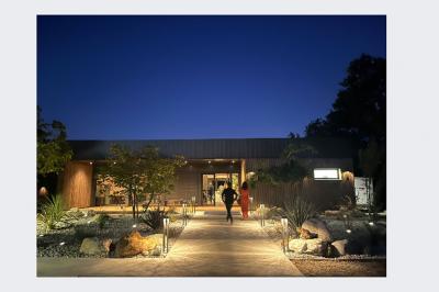 Terrasse moderne avec mobilier en plastique et bois, entourée de verdure et partiellement ombragée par un arbre.
