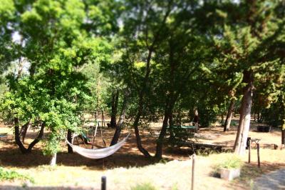 Location salle Argelès-sur-Mer (Pyrénées-Orientales) - Villa Elancia #11