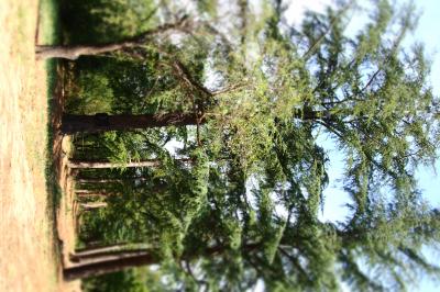 Location salle Argelès-sur-Mer (Pyrénées-Orientales) - Villa Elancia #11