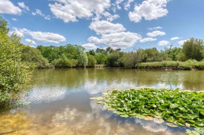 Location salle Petit-Palais-et-Cornemps (Gironde) - Château la Poste #62