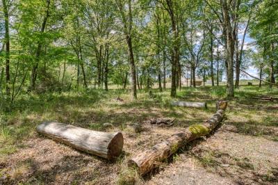 Location salle Petit-Palais-et-Cornemps (Gironde) - Château la Poste #62