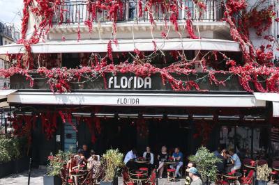 Verre à cocktail rempli d'un espresso martini, garni de grains de café, avec un fond sombre et texturé.