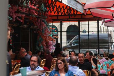 Étagères en bois remplies de bouteilles d'alcool, encadrées de briques et de feuillage, dans un décor de bar chaleureux.
