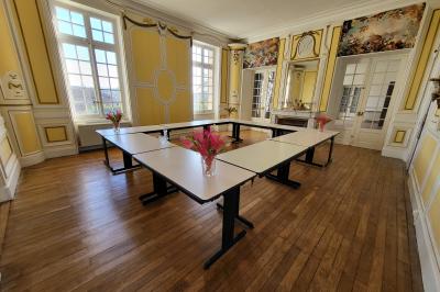 Location salle Marcilloles (Isère) - Château Fédora #21