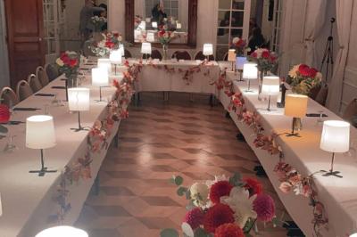 Salon ancien avec parquet en bois, mobilier classique, cheminée, miroir, coiffeuse et grande fenêtre avec rideaux roses.