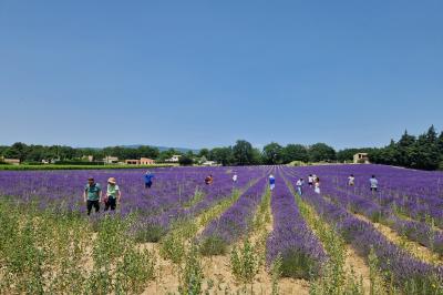 Location salle Cabrières-d'Avignon (Vaucluse) - Le Mas de la Lise #33