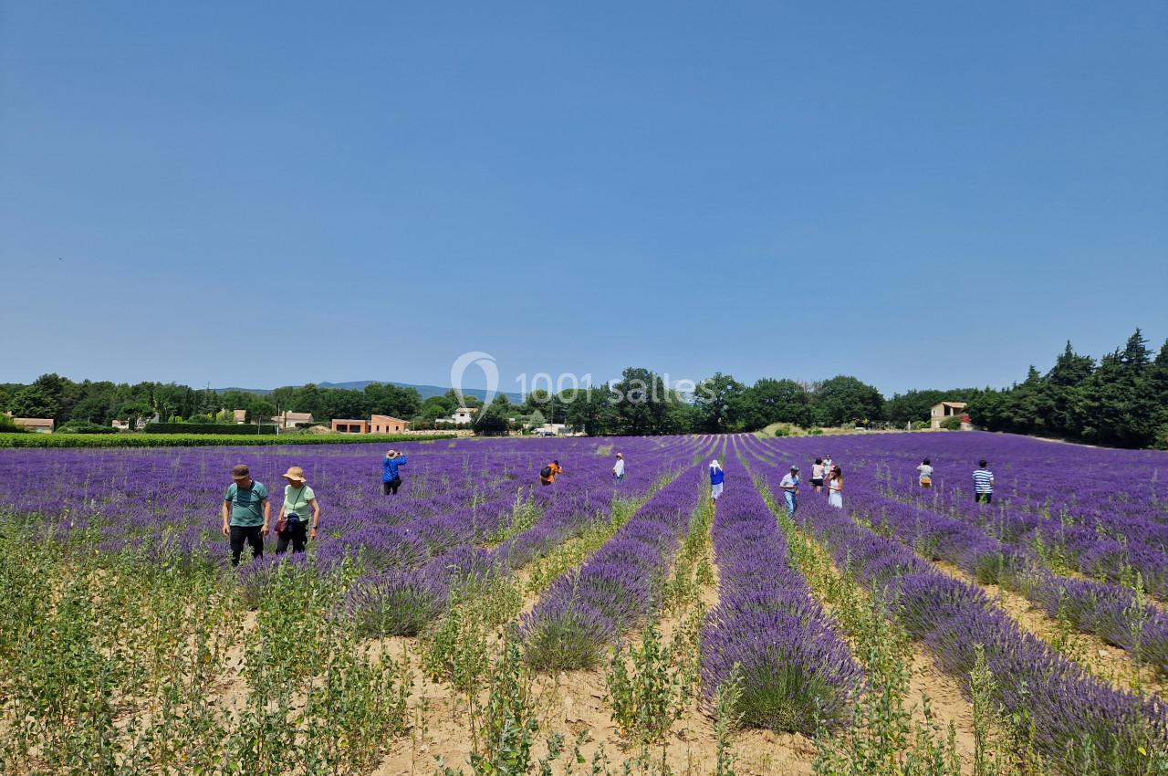 Location salle Cabrières-d'Avignon (Vaucluse) - Le Mas de la Lise #16